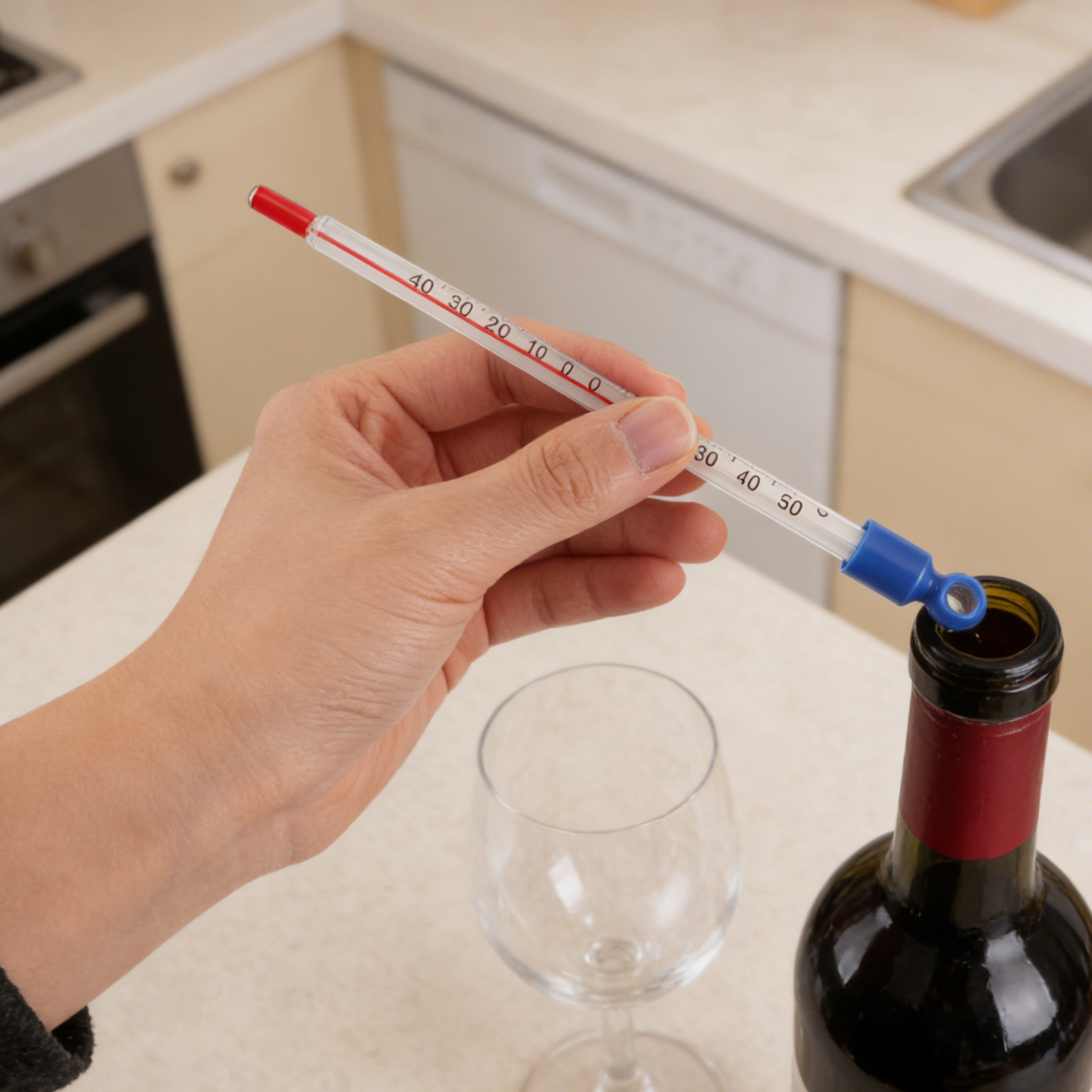 Glass Wine Thermometer Easy Re - Home Cooking Reading ulasan dan harga