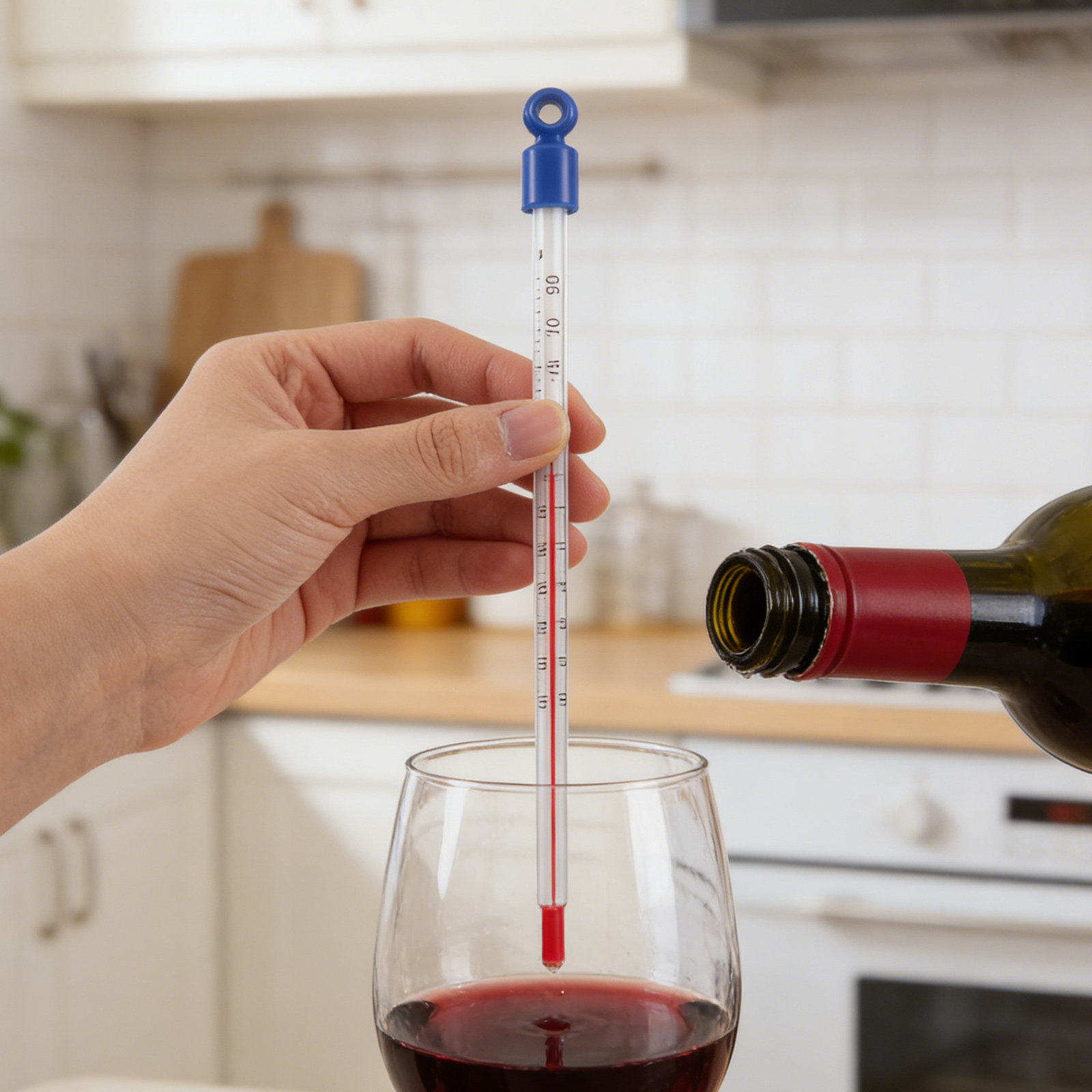 Wine Thermometer Glass Easy Re - Home Cooking Reading ulasan dan harga